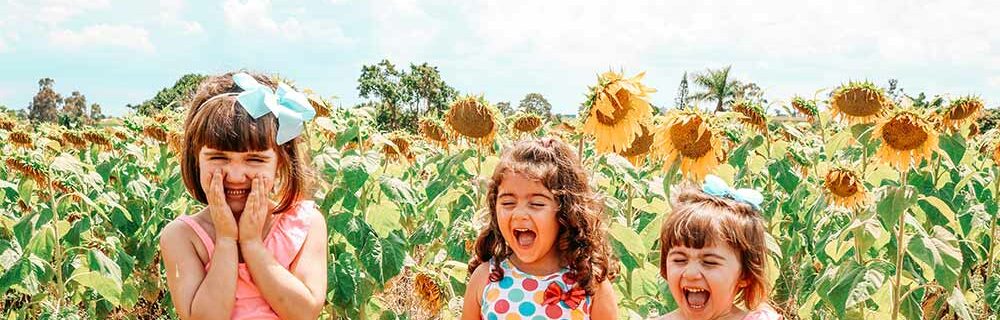 Children playing by sun flowers