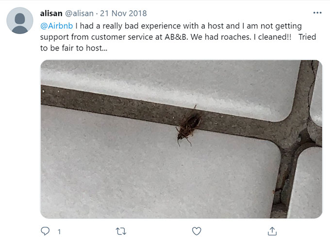 Airbnb Bugs, Bug Bites