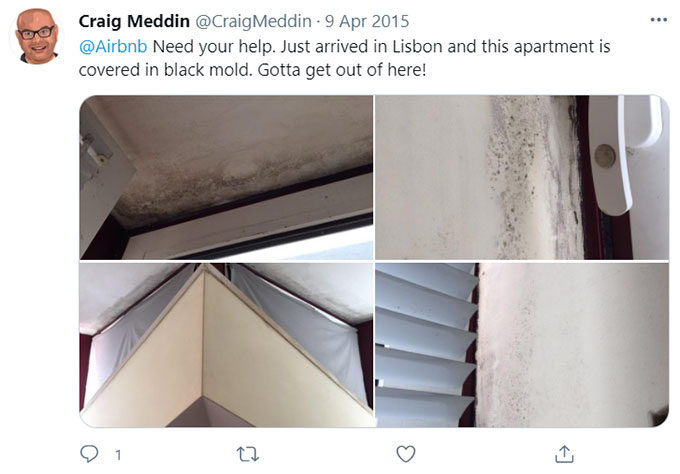 Airbnb Unsanitary Condition Mold Mildew Green Pool