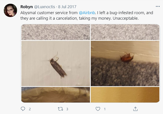 Airbnb Bugs, Bug Bites