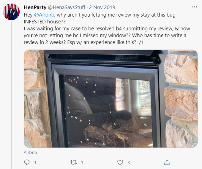 Airbnb Bugs, Bug Bites