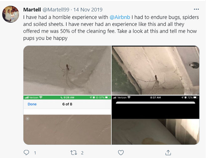 Airbnb Bugs, Bug Bites