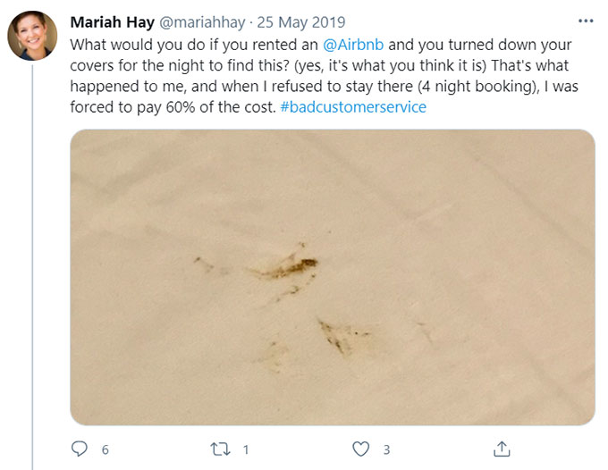 Airbnb Feces-related