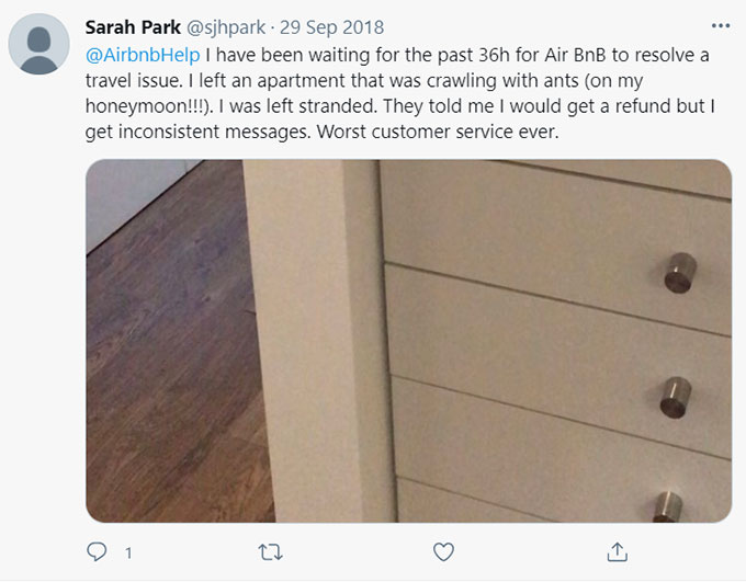 Airbnb Bugs, Bug Bites