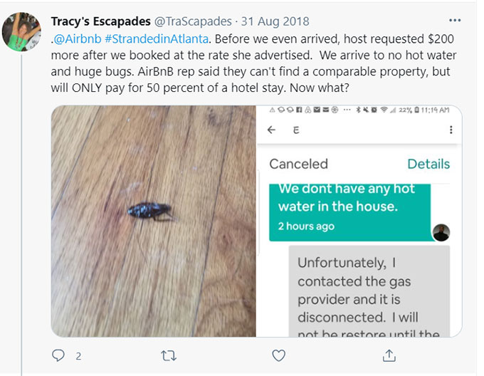 Airbnb Bugs, Bug Bites