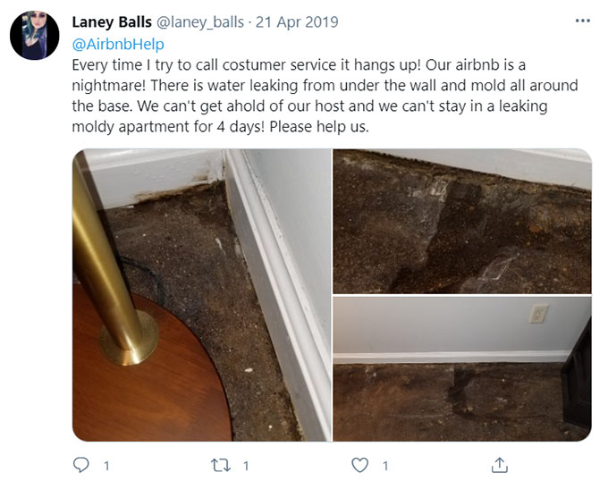 Airbnb Unsanitary Condition Mold Mildew Green Pool