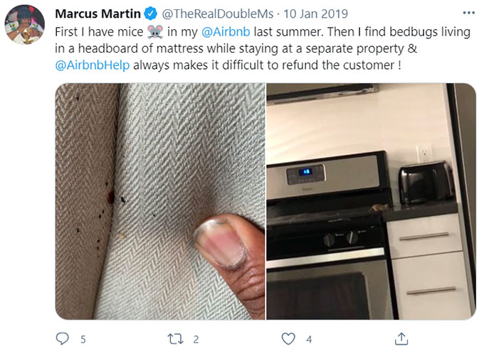 Airbnb Rats, Rodents