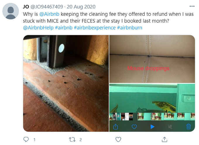 Airbnb Rats, Rodents