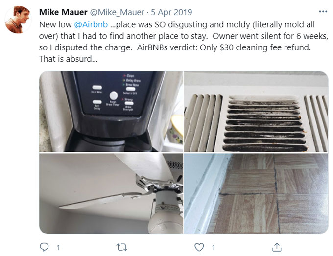 Airbnb Unsanitary Condition Mold Mildew Green Pool