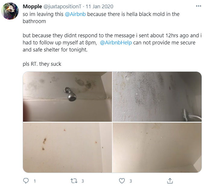 Airbnb Unsanitary Condition Mold Mildew Green Pool