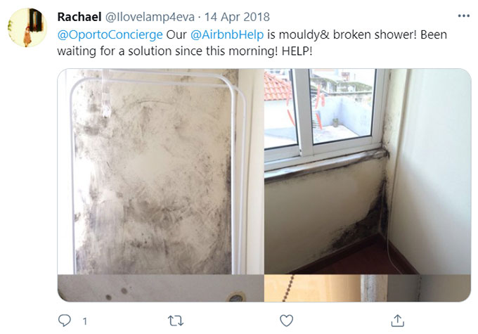 Airbnb Unsanitary Condition Mold Mildew Green Pool