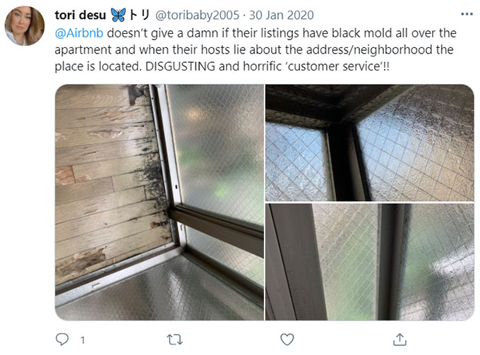 Airbnb Unsanitary Condition Mold Mildew Green Pool