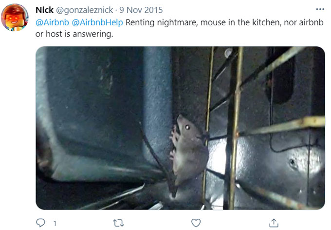 Airbnb Rats, Rodents