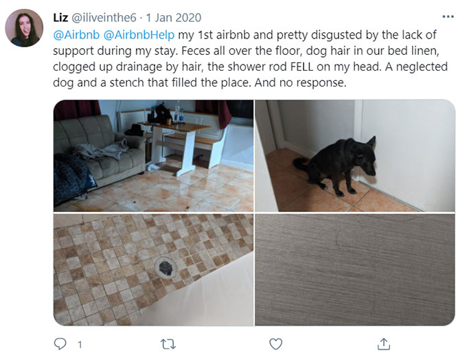 Airbnb Feces-related