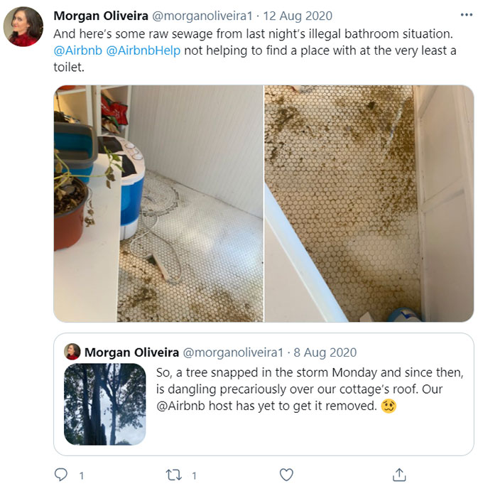 Airbnb Feces-related