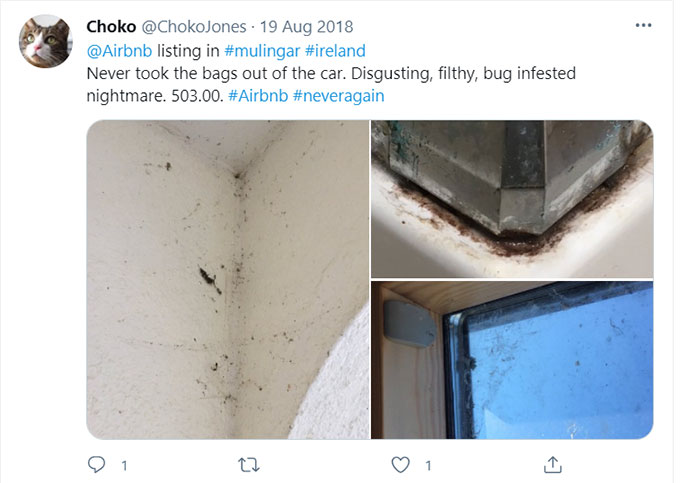 Airbnb Bugs, Bug Bites