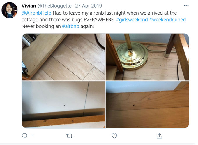 Airbnb Bugs, Bug Bites