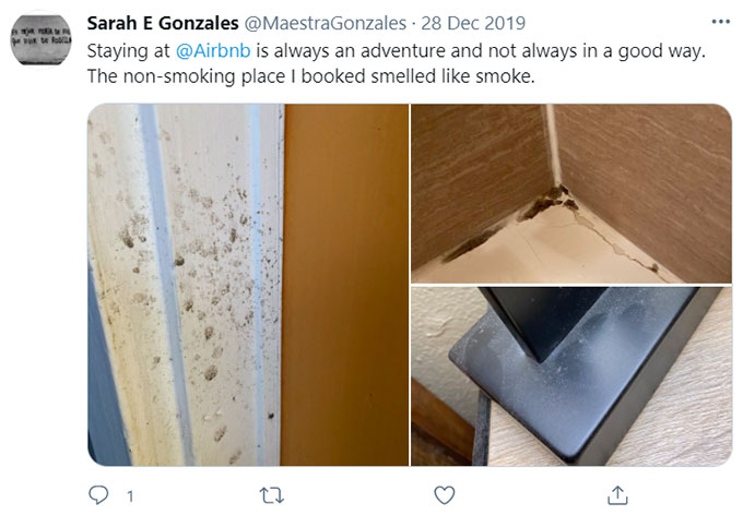 Airbnb Unsanitary Condition Mold Mildew Green Pool