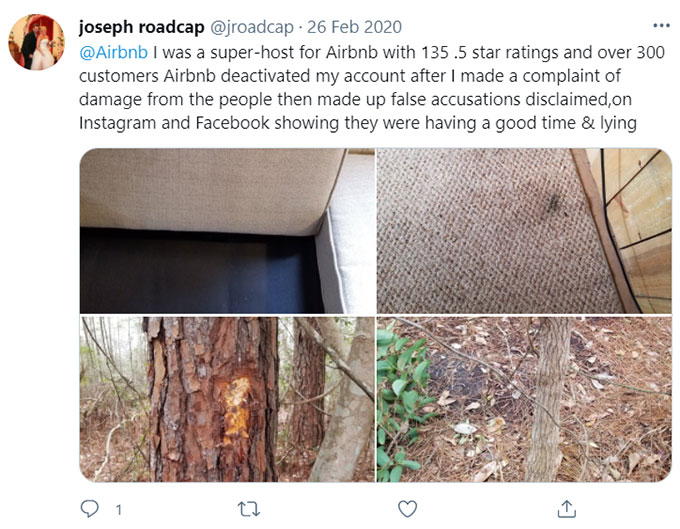 Airbnb Unsanitary Condition Mold Mildew Green Pool