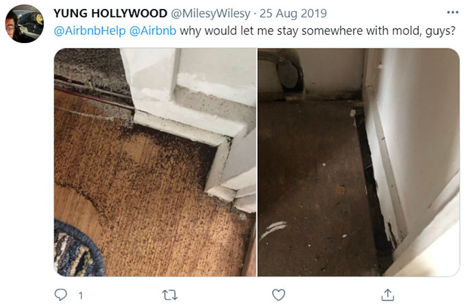 Airbnb Unsanitary Condition Mold Mildew Green Pool