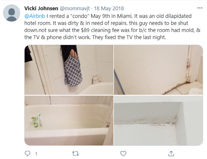 Airbnb Unsanitary Condition Mold Mildew Green Pool