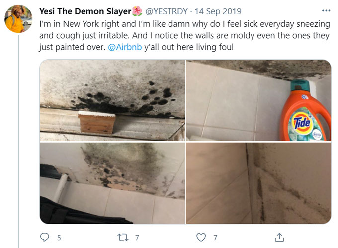 Airbnb Unsanitary Condition Mold Mildew Green Pool