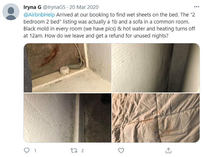 Airbnb Unsanitary Condition Mold Mildew Green Pool