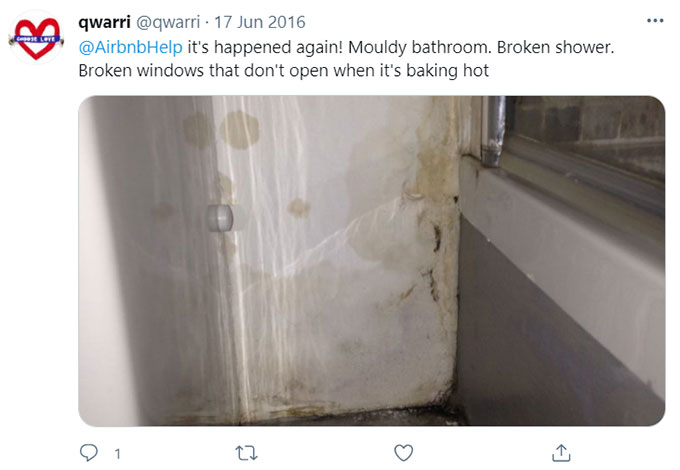Airbnb Unsanitary Condition Mold Mildew Green Pool