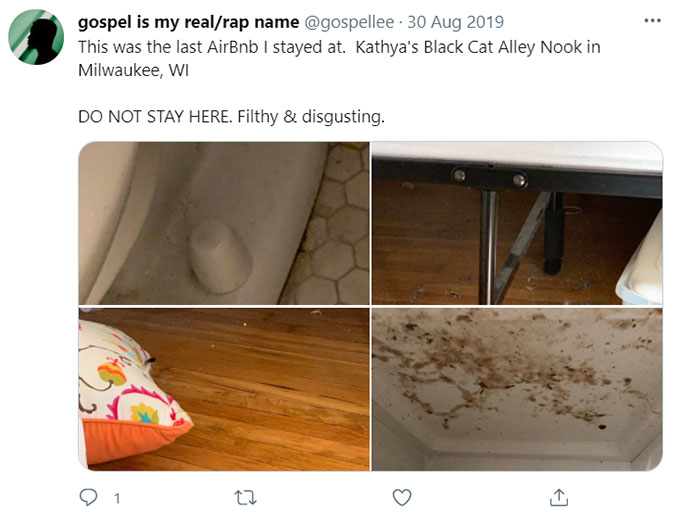 Airbnb Unsanitary Condition Mold Mildew Green Pool