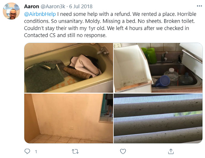 Airbnb Unsanitary Condition Mold Mildew Green Pool