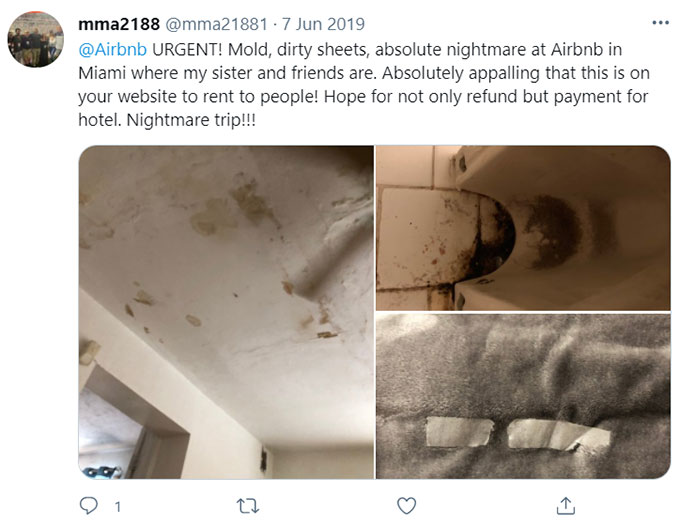 Airbnb Unsanitary Condition Mold Mildew Green Pool