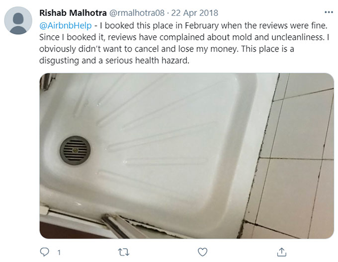 Airbnb Unsanitary Condition Mold Mildew Green Pool