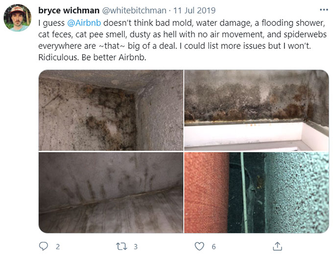 Airbnb Unsanitary Condition Mold Mildew Green Pool