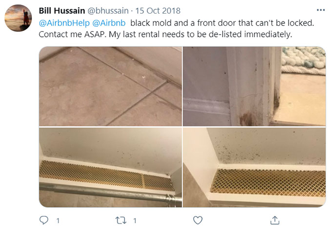 Airbnb Unsanitary Condition Mold Mildew Green Pool