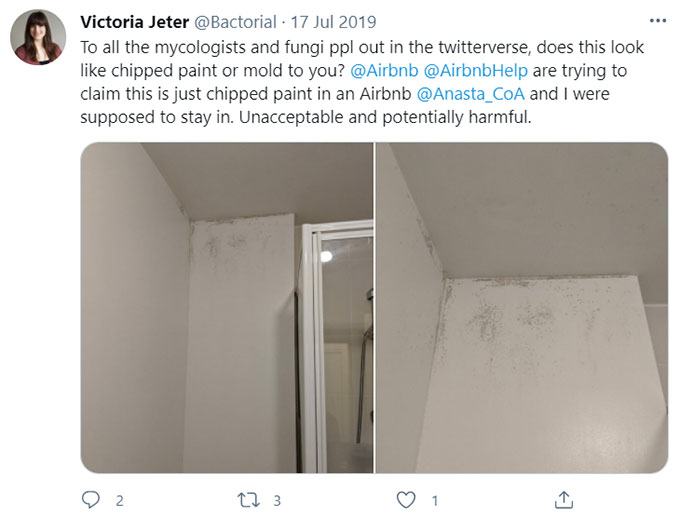 Airbnb Unsanitary Condition Mold Mildew Green Pool