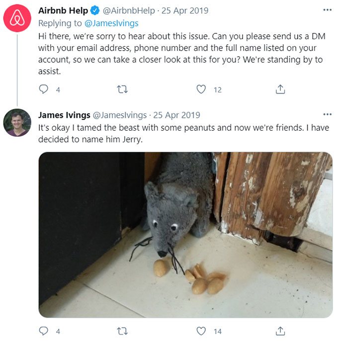 Airbnb Rats, Rodents