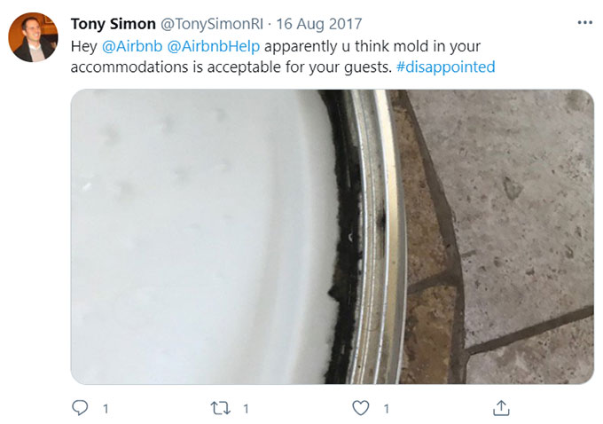 Airbnb Unsanitary Condition Mold Mildew Green Pool