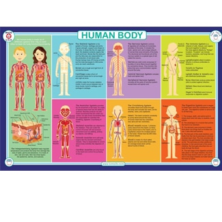 Tot Talk Educational Placemat