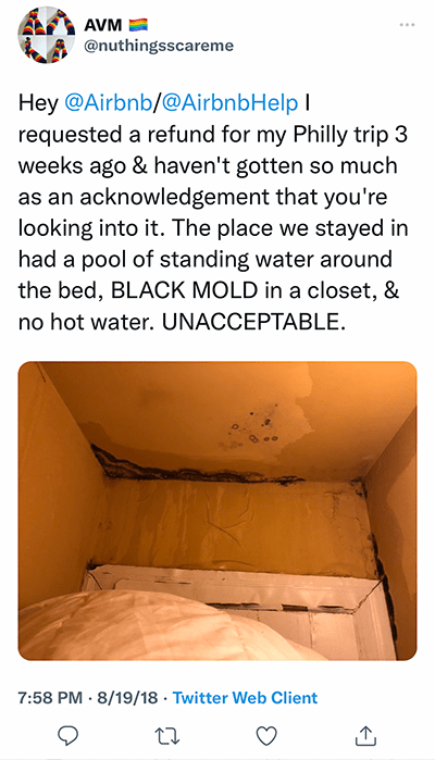 black mold at airbnb