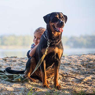 Dog-proudly watching over little girl