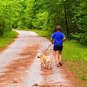 Mixed breed on trail in north carolina