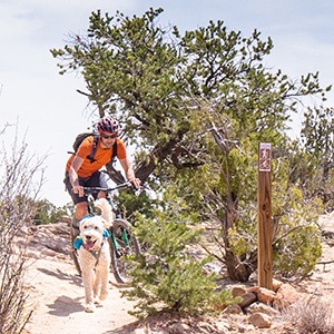 Trail ride with dog in New Mexico