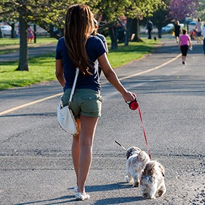 Woman walking her dogs