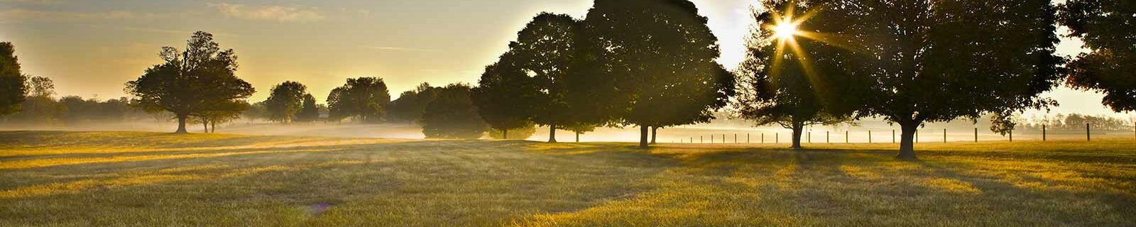 Kentucky landscape