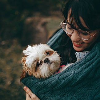 shih tzu dog insurance