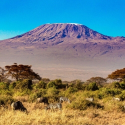 DRY SEASON