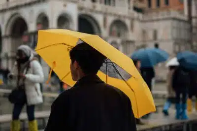 NEUTRAL Travel for life 1~12 全巻セット 付属品完備 7 Best Travel Umbrellas - Pack Light & Stay Dry (2025 Reviews)