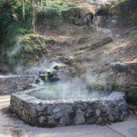 National Park Packing - spring