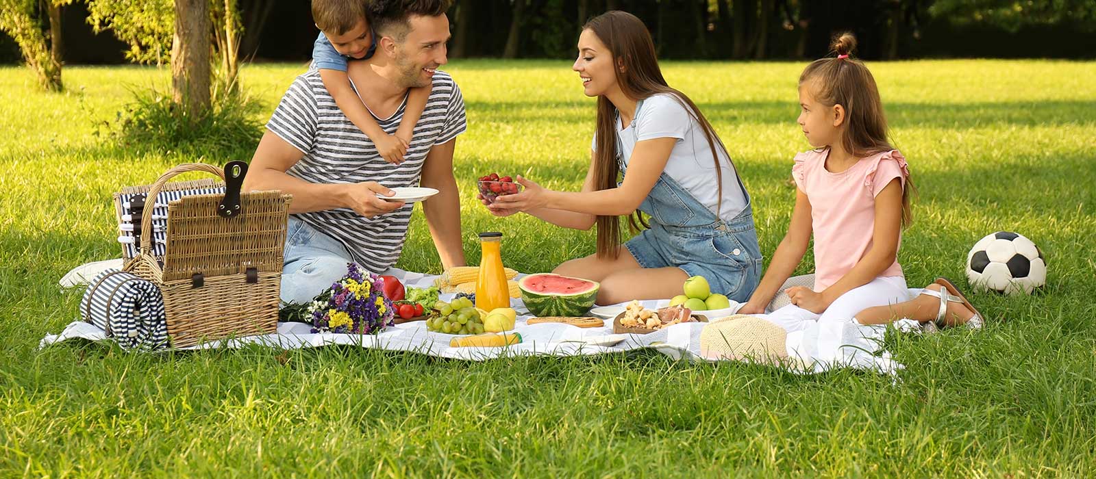 17 Top Picnic Packing List Items for 2024 + What To Wear & NOT Bring