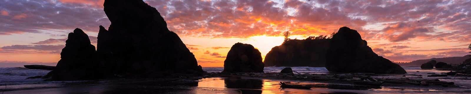 17 Top Olympic National Park Packing List Items for 2025 + What to Wear & NOT to Bring